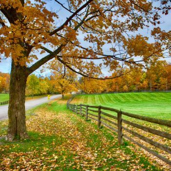 caledon hvac services