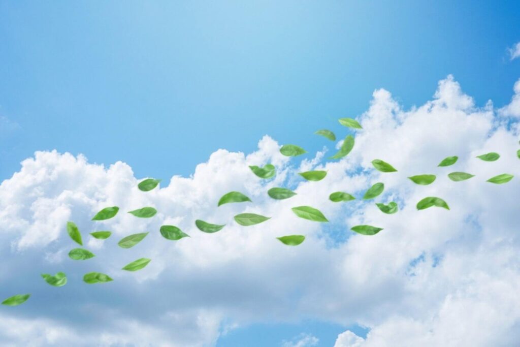 tips to improve indoor air quality