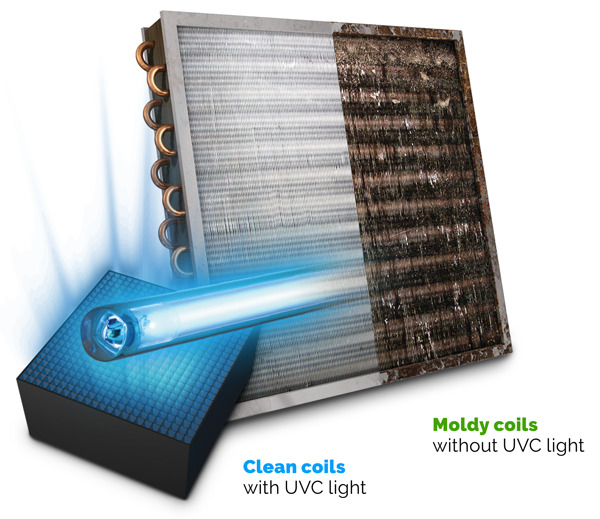 UV Air Purification Upgrades